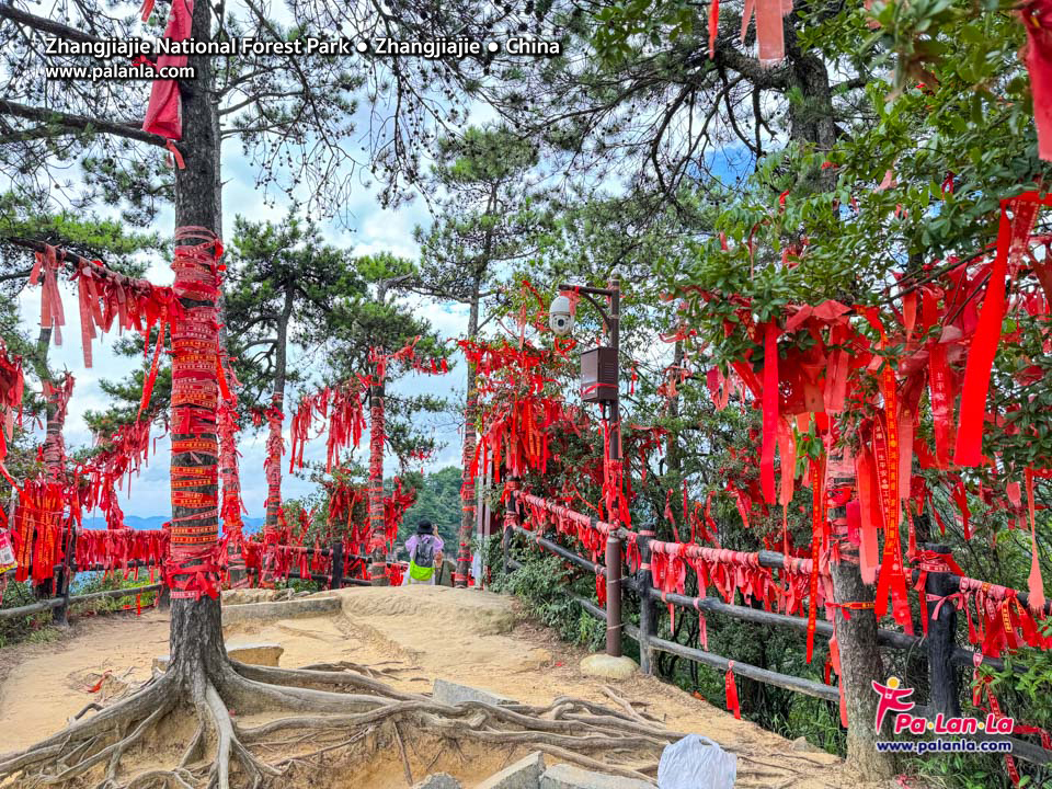 Zhangjiajie National Forest Park